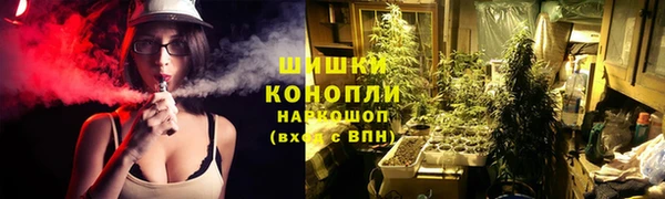 спайс Алзамай
