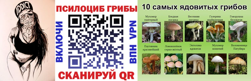 гидра онион  сколько стоит  Яблоновский  Галлюциногенные грибы прущие грибы 